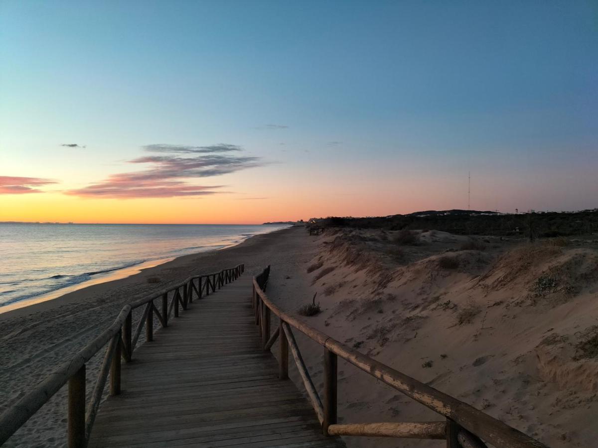 Sol Y Mar II Lägenhet Guardamar del Segura Exteriör bild