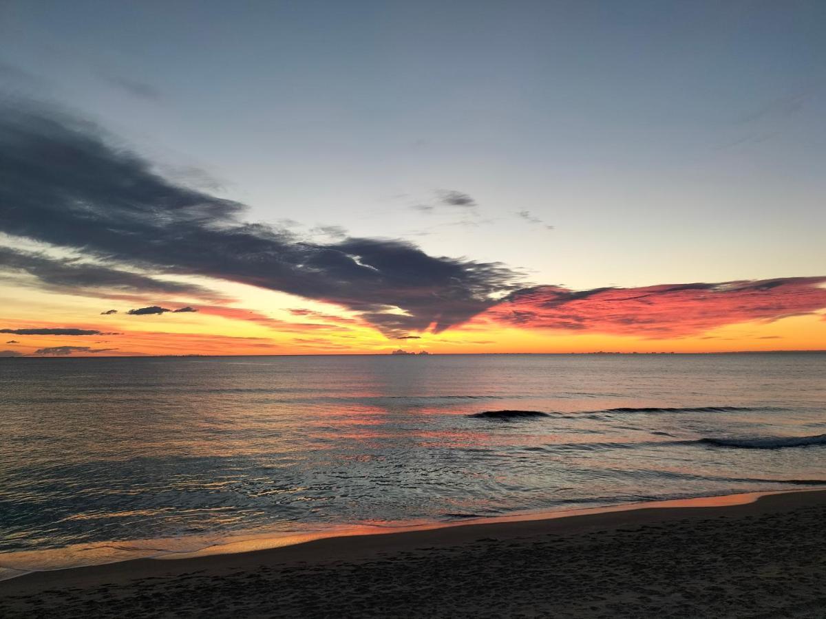 Sol Y Mar II Lägenhet Guardamar del Segura Exteriör bild